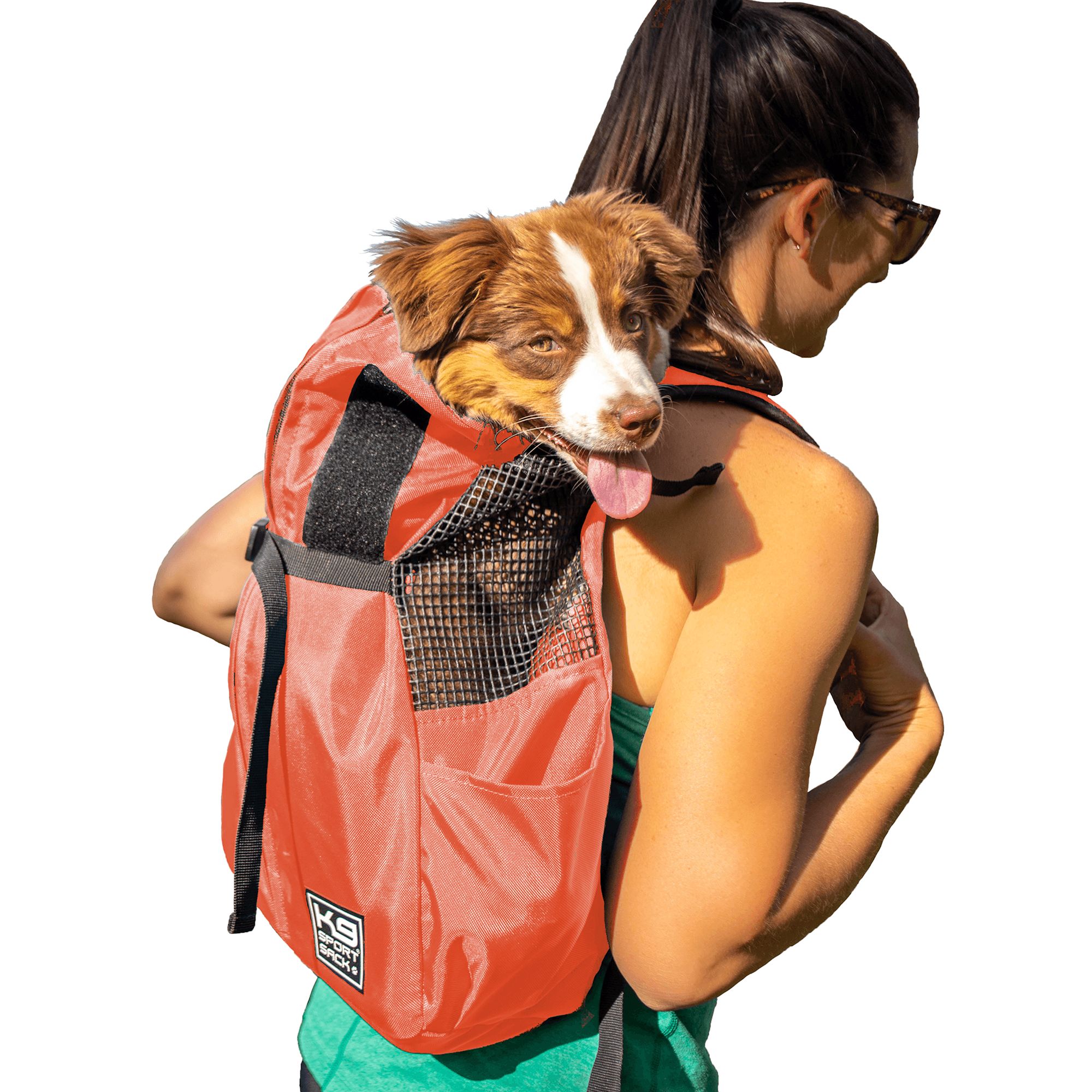 K9 Sport Sack Trainer