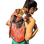 doggie travel bag