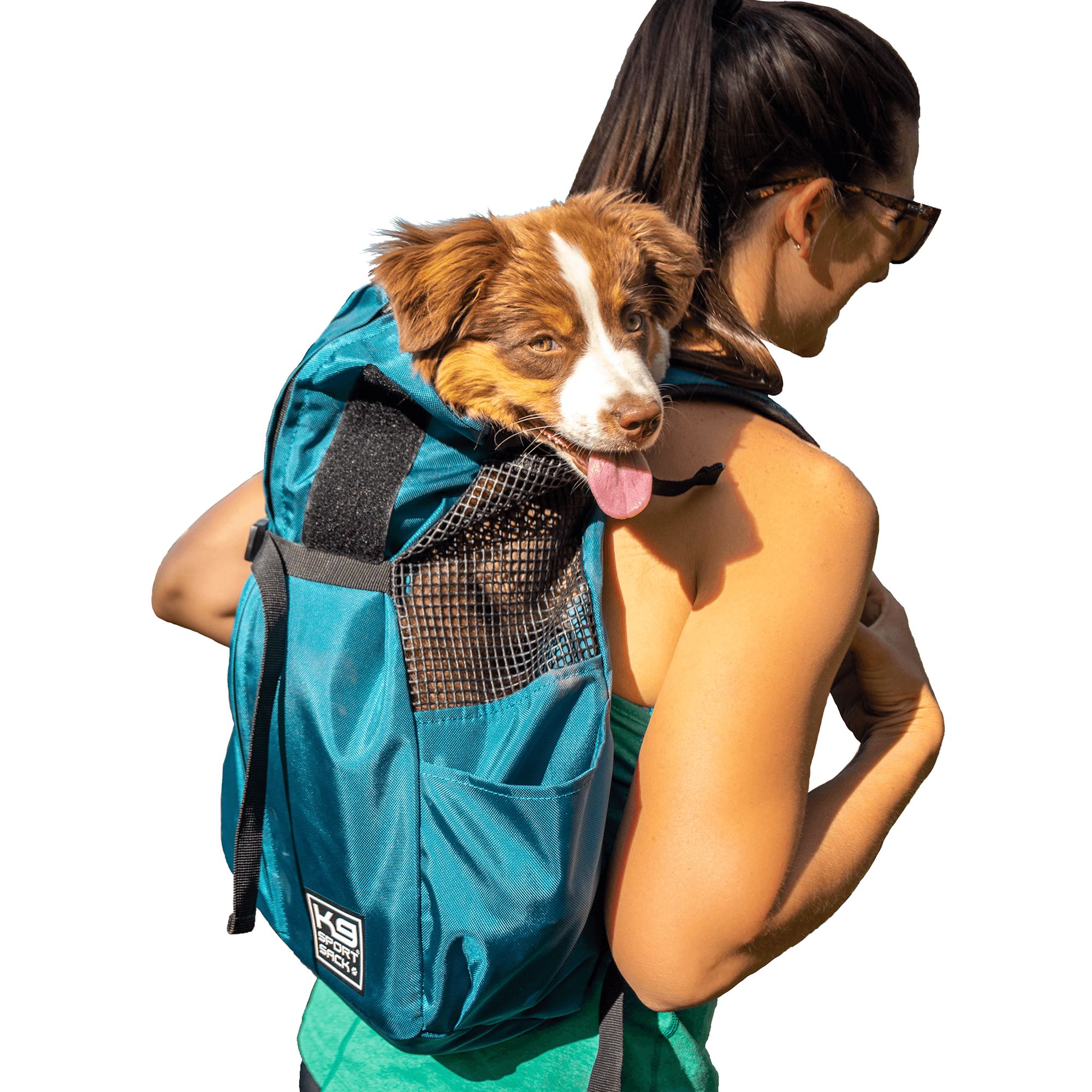 Petsmart store dog bags