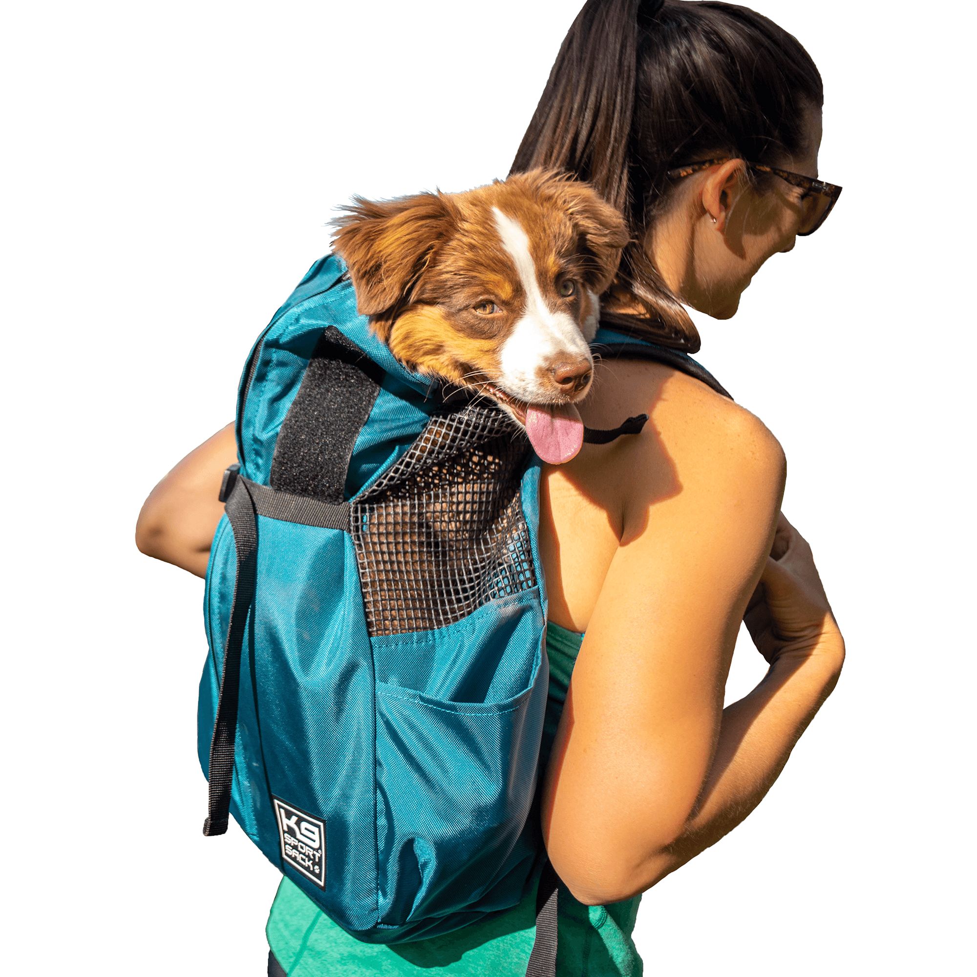 Backpacks for dogs petsmart hotsell