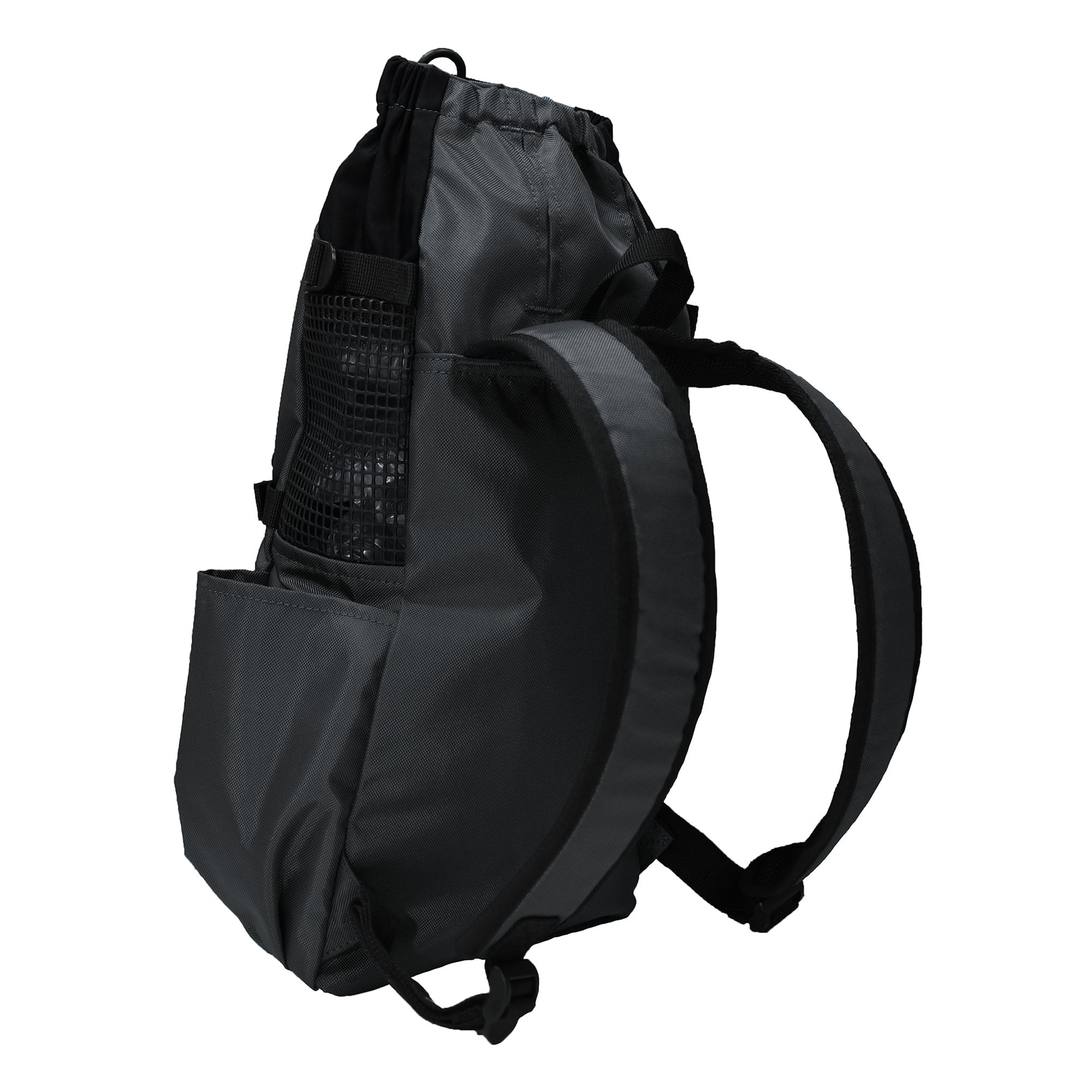 K9 sport sack petsmart online