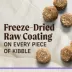 Merrick® Raw-Coated Kibble Puppy Dry Dog Food - Natural, Grains, Freeze Dried, Chicken & Brown Rice image thumbnail 6
