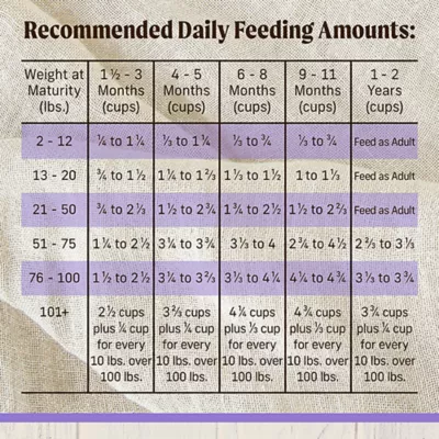 Product Merrick® Healthy Grains Raw-Coated Kibble Puppy Dry Dog Food - Chicken