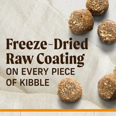 Product Merrick® Healthy Grains Raw-Coated Kibble Adult Dry Dog Food - Real Chicken & Brown Rice