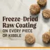 Merrick® Raw-Coated Kibble Adult Dry Dog Food - Natural, Grains, Freeze Dried, Chicken & Brown Rice image thumbnail 3