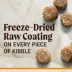Merrick® Raw-Coated Kibble Adult Dry Dog Food - Natural, Grains, Freeze Dried, Chicken & Brown Rice image thumbnail 2