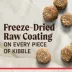 Merrick® Raw-Coated Kibble Adult Dry Dog Food - Natural, Grains, Freeze Dried, Beef & Brown Rice image thumbnail 3