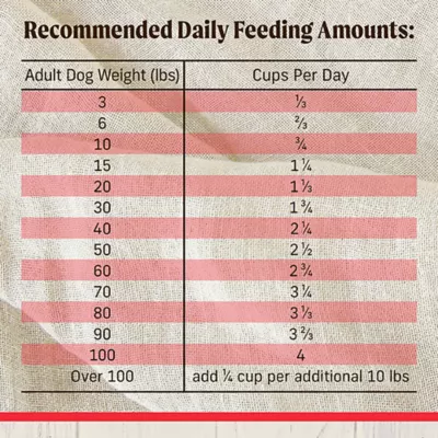 Product Merrick® Healthy Grains Raw-Coated Kibble Adult Dry Dog Food - Real Beef & Brown Rice