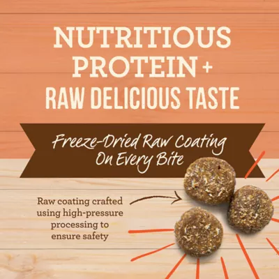 Merrick® Raw-Coated Kibble Adult Dry Dog Food - Natural, Grains, Freeze Dried, Salmon & Brown Rice - Image 3