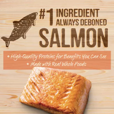 Merrick® Raw-Coated Kibble Adult Dry Dog Food - Natural, Grains, Freeze Dried, Salmon & Brown Rice - Image 4