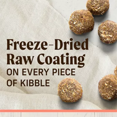Merrick® Raw-Coated Kibble Adult Dry Dog Food - Natural, Grains, Freeze Dried, Salmon & Brown Rice - Image 6