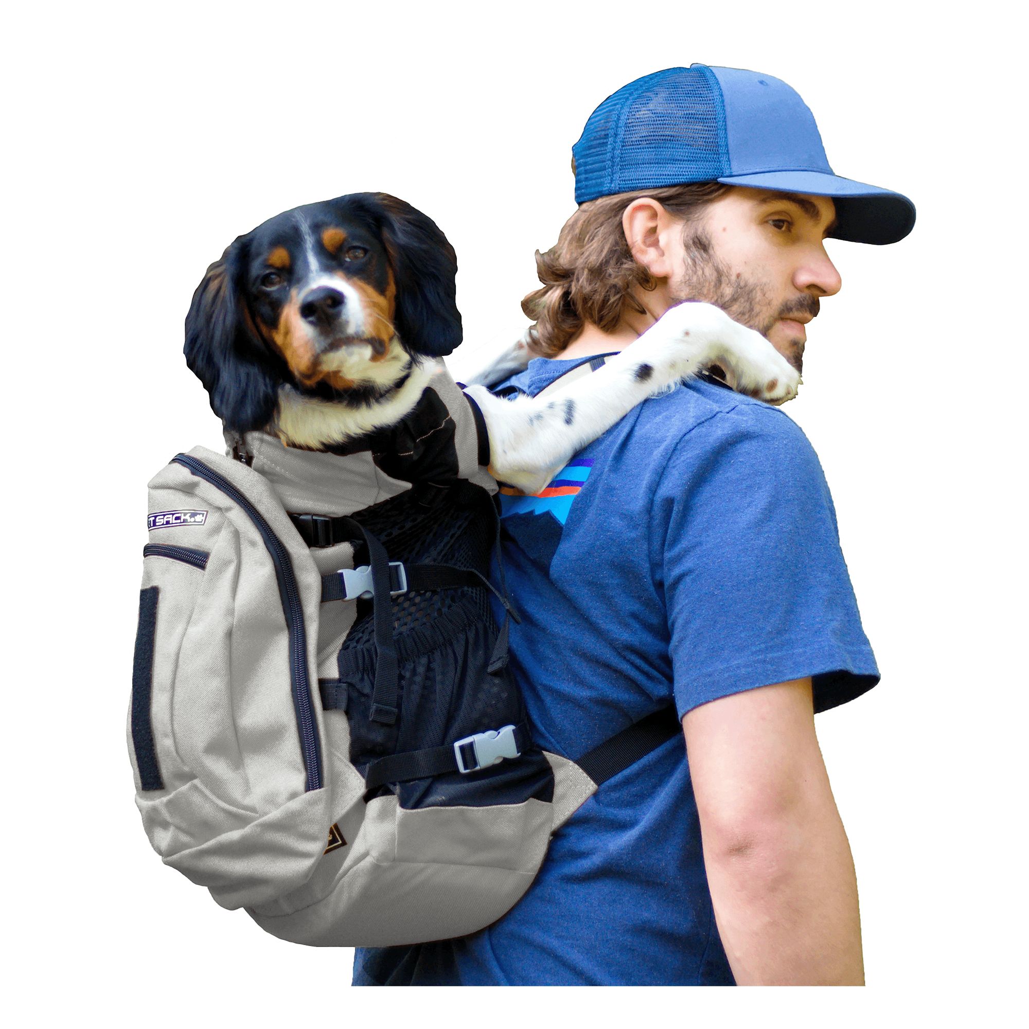 Petsmart dog carrier on sale backpack