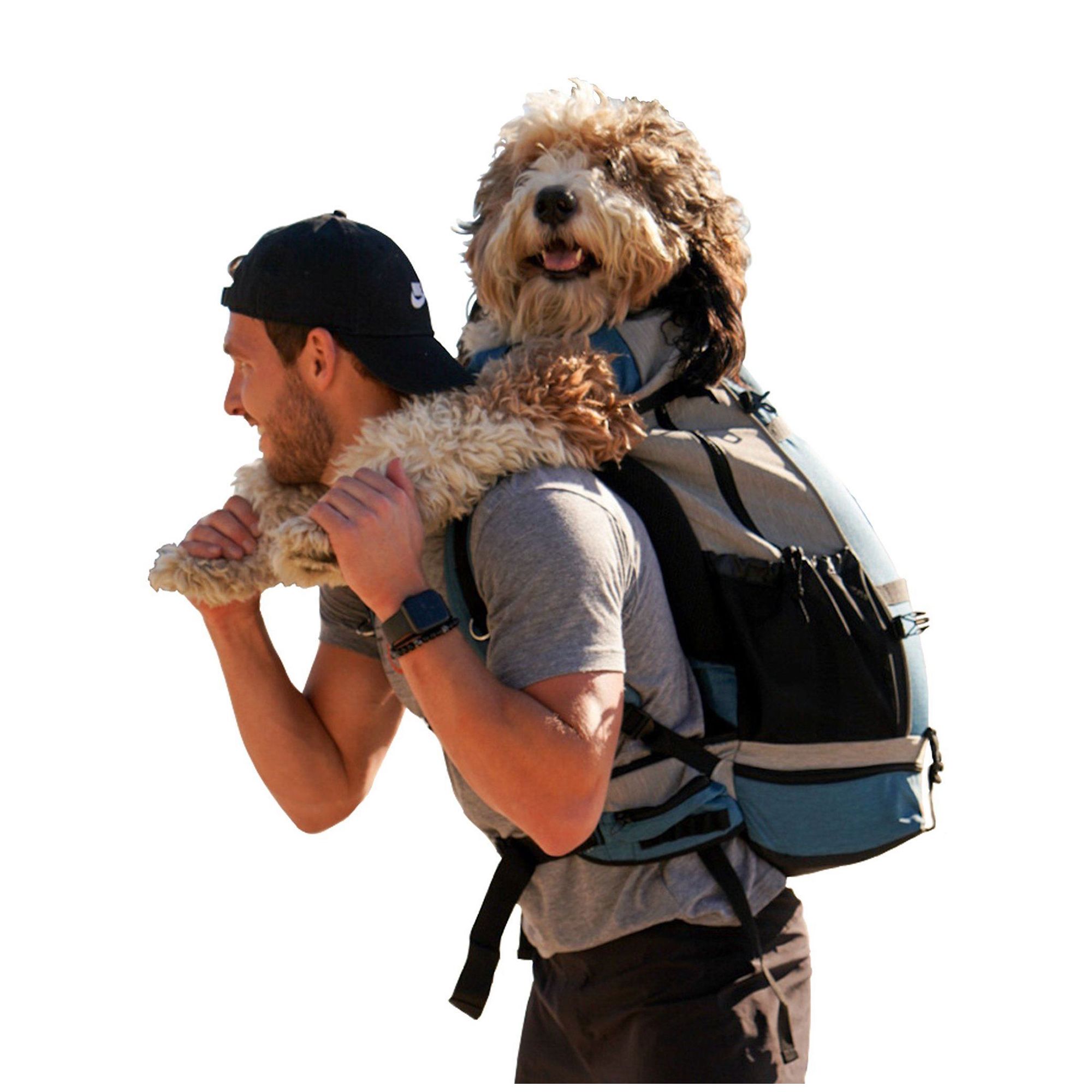Dog carrier sling petsmart kennel