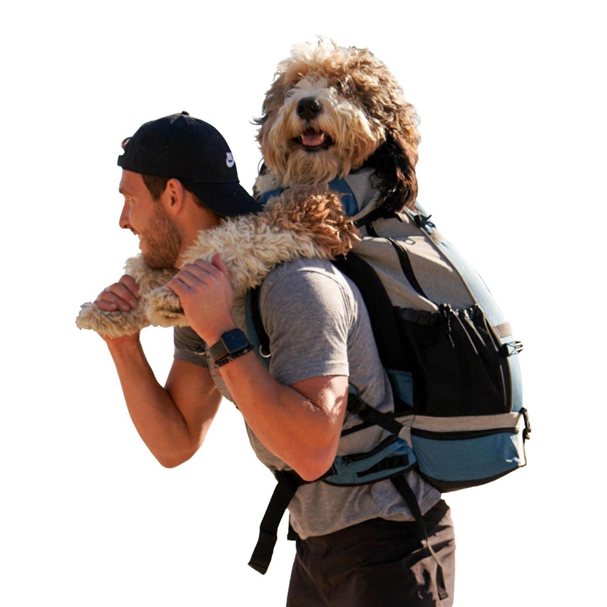 dog carrier backpack petsmart