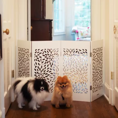 Product Cardinal Gates Decorative White Starburst Freestanding Pet Gate
