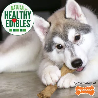 Product Nylabone Healthy Edibles Puppy Chew Dog Treat - Lamb & Apple