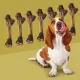 Product ROAM® Roo Chopper Dog Treat - Outback Kangaroo