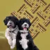ROAM Roo In Two Dog Treat - Outback Kangaroo image thumbnail 5