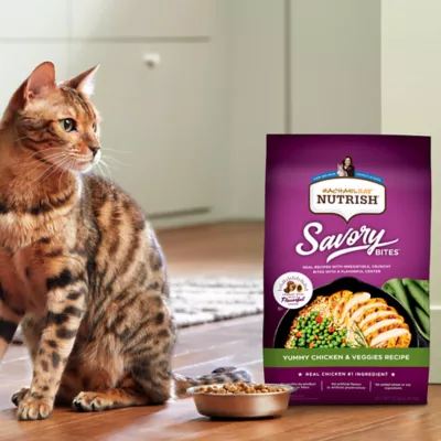 Product Rachael Ray Nutrish Savory Bites Dry Cat Food Adult - Chicken, Veggies