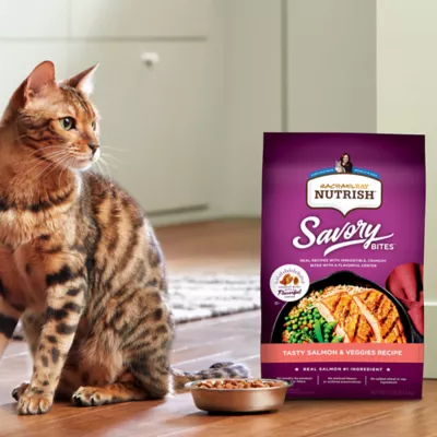 Rachael ray nutrish salmon cat food best sale