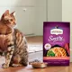 Product Rachael Ray Nutrish Savory Bites Dry Cat Food Adult - Salmon, Veggies