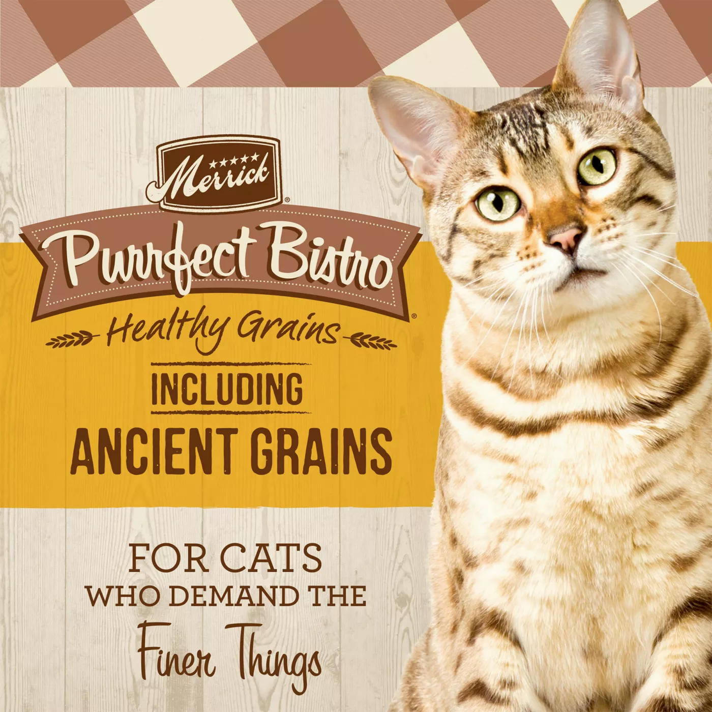 Merrick Purrfect Bistro All Life Stages Dry Cat Food Chicken No Artificial Colors or Flavors