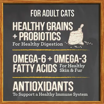 Product Merrick® Purrfect Bistro® All Life Stages Dry Cat Food - Chicken, No Artificial Colors or Flavors