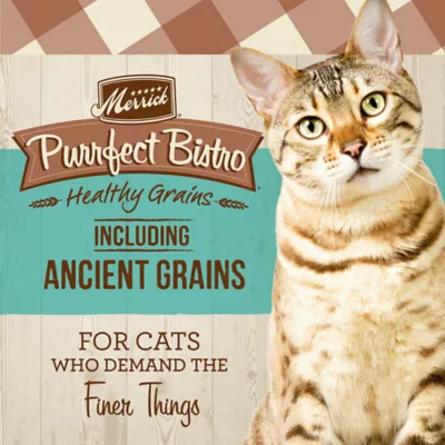 Product Merrick® Purrfect Bistro® All Life Stages Dry Cat Food - Salmon, No Artificial Colors or Flavors