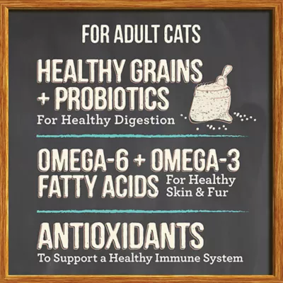 Product Merrick® Purrfect Bistro® All Life Stages Dry Cat Food - Salmon, No Artificial Colors or Flavors