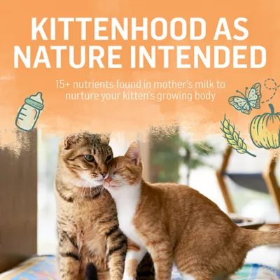 Product Purina® Beyond® Kitten Kitten Cat Dry Food - Chicken, High-Protein, Natural