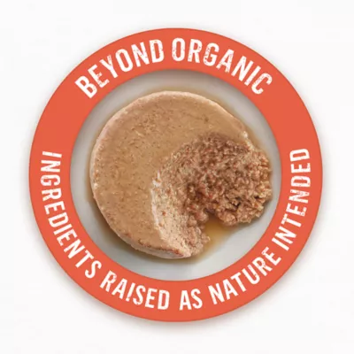 Beyond Organic Wet Cat Food Pate Organic Chicken Sweet Potato Adult Recipe 3 oz