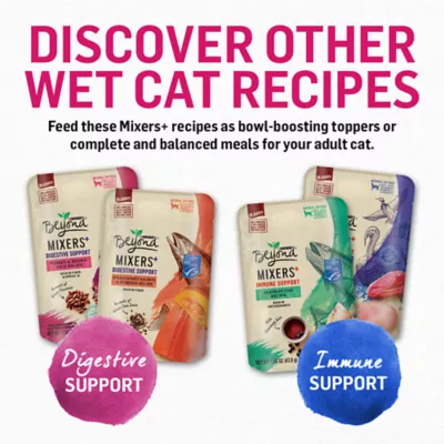 Beyond Organic Chicken Carrot Recipe Pate Wet Cat Food 3 oz