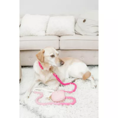 Product Pink Papyrus Maggie Pink Ombre Rope Dog Leash: 4-ft long