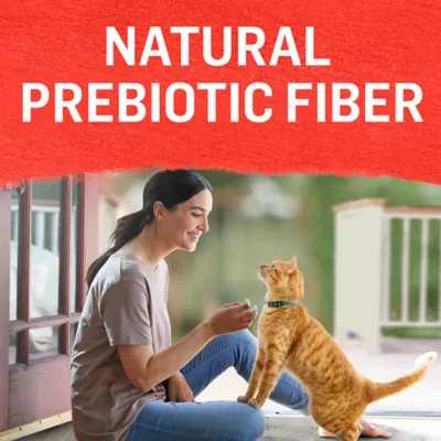 Product Purina® Beyond® Grain Free Adult Cat Wet Food - 21 oz., Natural, Non-GMO, Grain Free