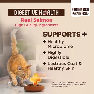 Wellness® CORE+ Digestive Health Adult Cat Food - Natural, Salmon and Rice - Image 3