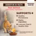 Wellness® CORE+ Digestive Health Adult Cat Food - Natural, Salmon and Rice image thumbnail 3