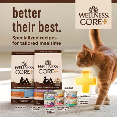 Wellness® CORE+ Digestive Health Adult Cat Food - Natural, Salmon and Rice - Image 7