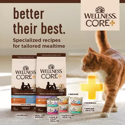 Product Wellness® CORE® Adult Cat Food Digestive Health, Grain Free, Chicken