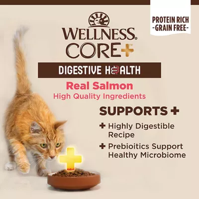 Product Wellness® CORE® Adult Cat Food Digestive Health, Grain Free, Salmon