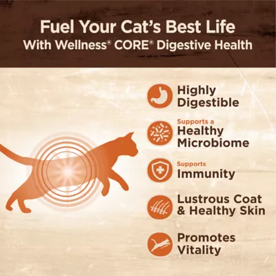 Product Wellness® CORE® Digestive Health Wet Cat Food - Variety Pack, 12 CT, 36 OZ