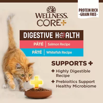 Product Wellness® CORE® Digestive Health Wet Cat Food - Variety Pack, 12 CT, 36 OZ