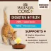 Wellness® CORE+ Digestive Health Adult Cat Wet Food - Seafood Pate, Variety Pack, 12 CT, 36 OZ image thumbnail 5