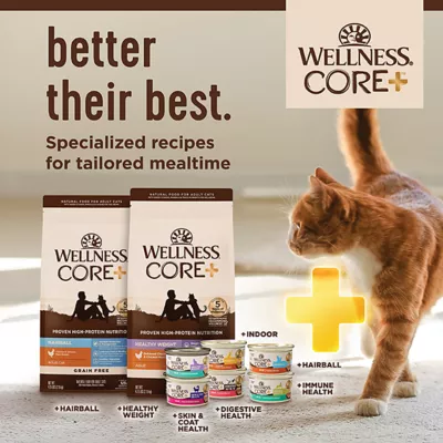 Product Wellness® CORE® Digestive Health Wet Cat Food - Variety Pack, 12 CT, 36 OZ