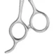 Product BaBylissPRO PET 6" 40-Tooth Thinning Shears