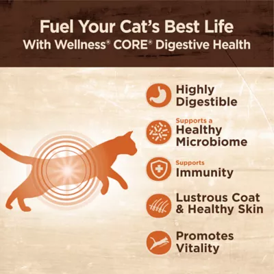 Product Wellness® CORE® Adult Cat Food Natural, Digestive Health, Chicken and Rice