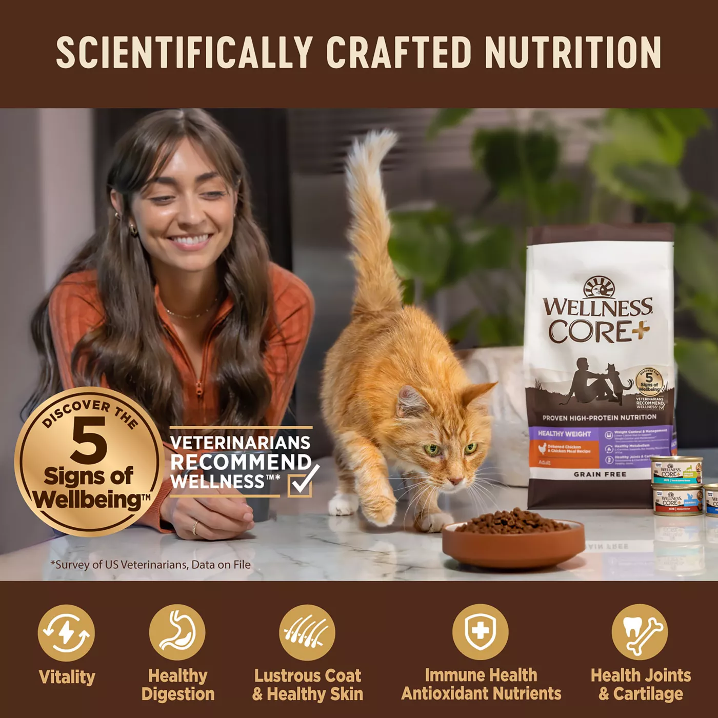 Wellness CORE Adult Cat Food Natural Digestive Health Chicken and Rice