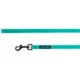 Product Top Paw® Gunmetal Dog Leash: 6-ft long