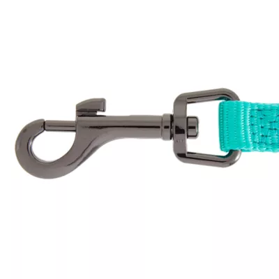 Product Top Paw® Gunmetal Dog Leash: 6-ft long
