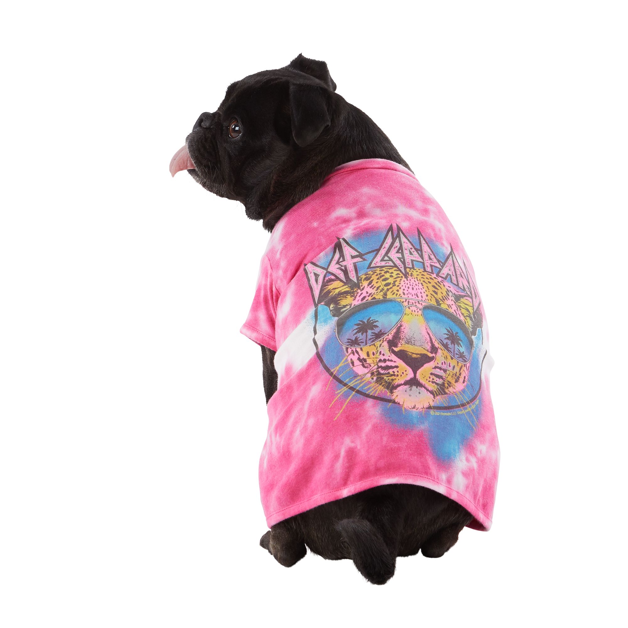 dog birthday shirt petsmart