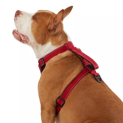 Product KONG® MAX Neoprene Padded Dog Harness